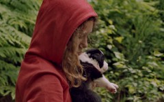 Puppy-mishandeling voor YouTube-hit in Telefilm